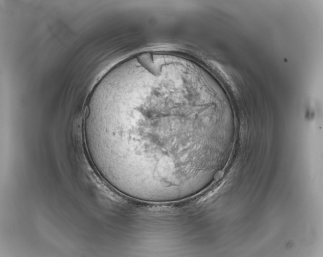 X0000093521417200710261209