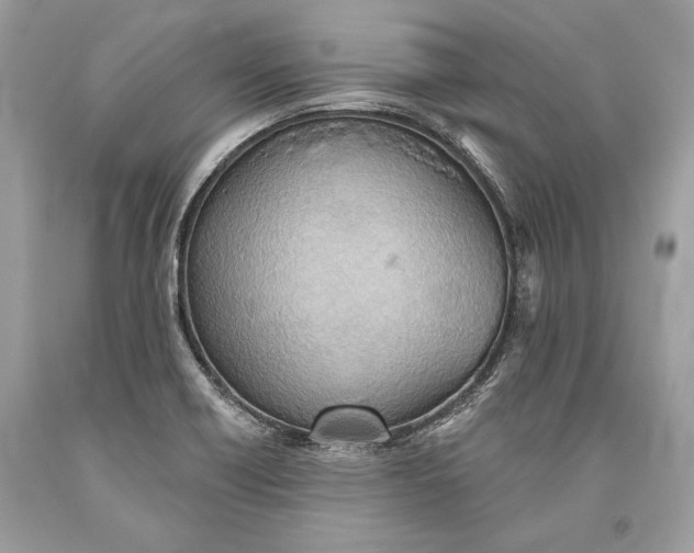 X0000093521418200710261209