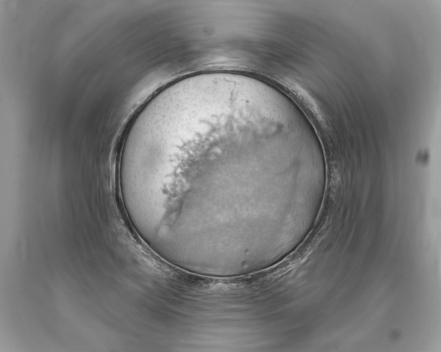 X0000093521419200710261209