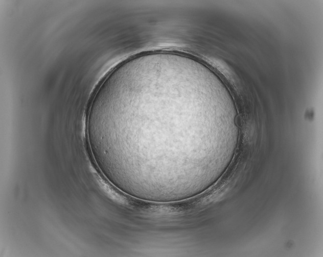 X0000093521420200710261209