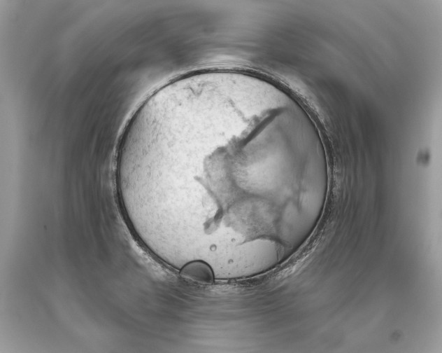 X0000093521421200710261209