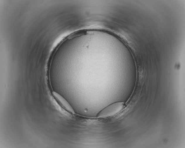 X0000093521422200710261209