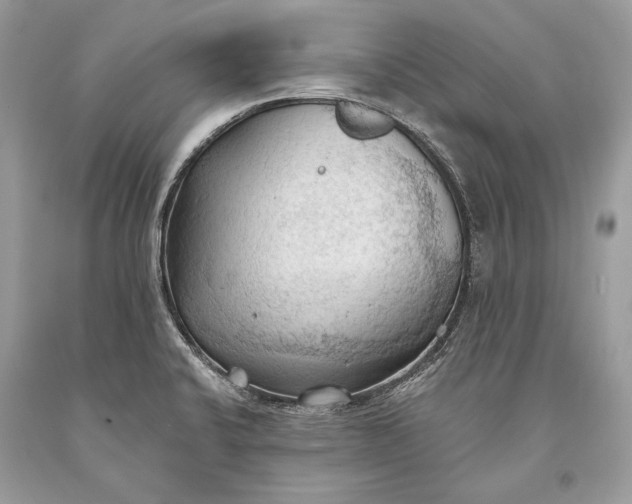 X0000093521424200710261209