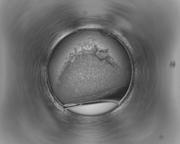 X0000093521425200710261210