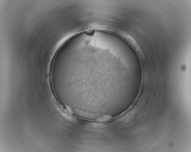 X0000093521427200710261210