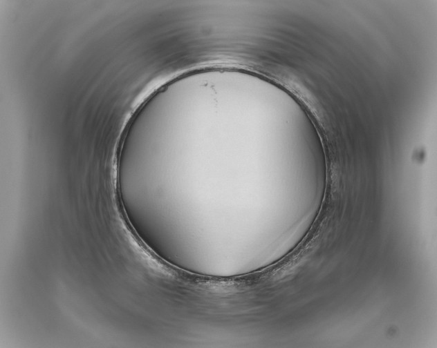 X0000093521428200710261210