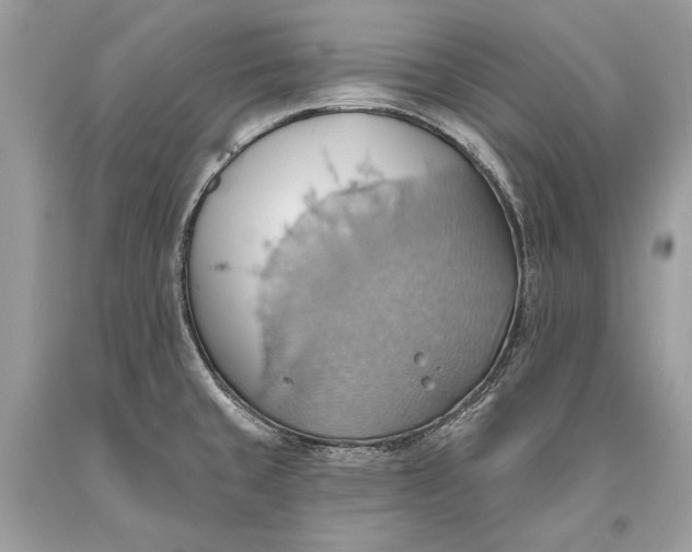 X0000093521429200710261210