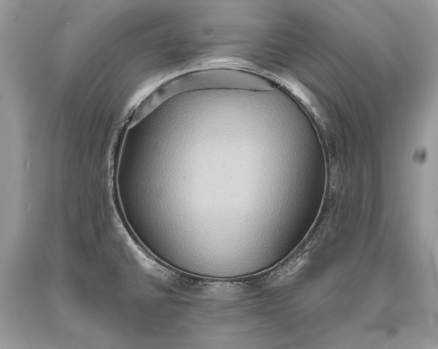 X0000093521430200710261210