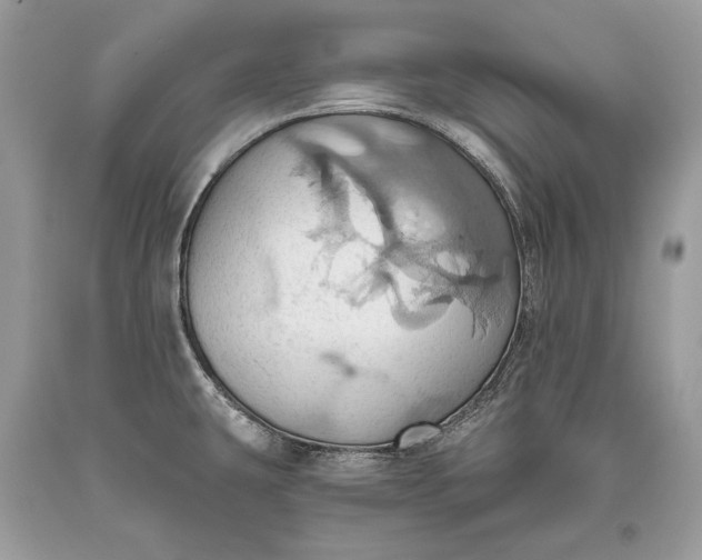 X0000093521431200710261210