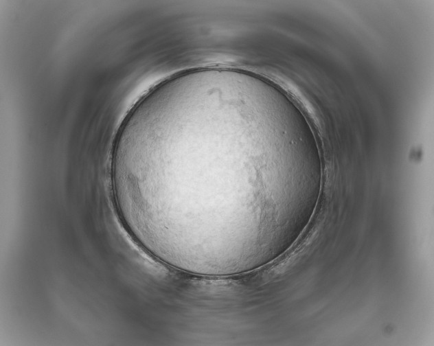 X0000093521432200710261210