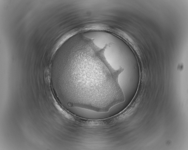 X0000093521433200710261210