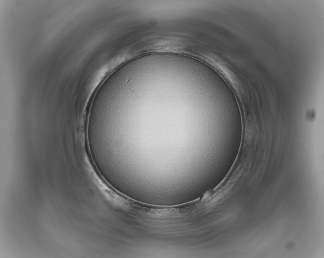 X0000093521434200710261210