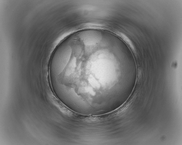 X0000093521435200710261210