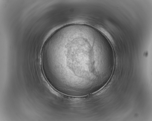 X0000093521436200710261210