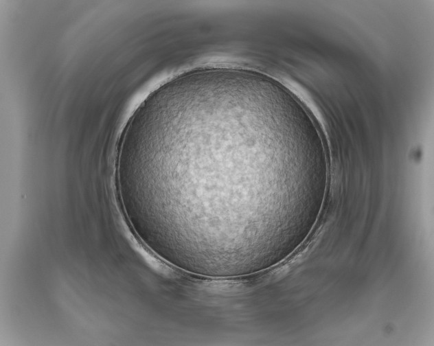 X0000093521437200710261210