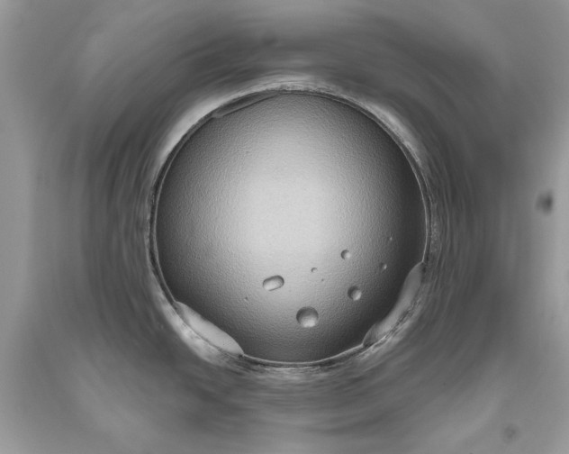 X0000093521438200710261210