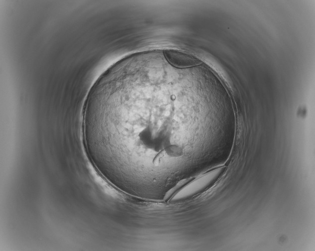 X0000093521439200710261210