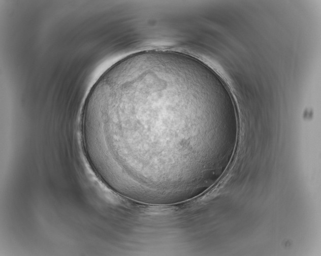 X0000093521440200710261210