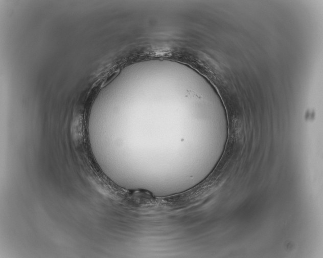 X0000093521442200710261209