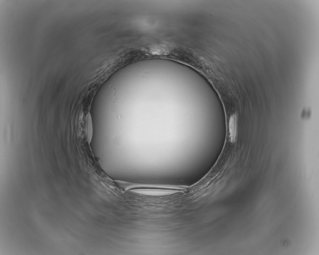 X0000093521443200710261209