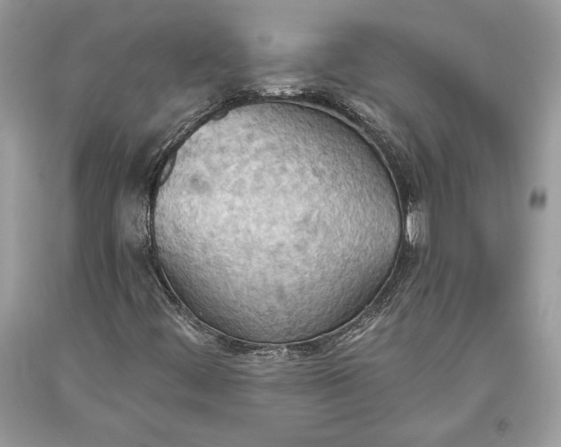 X0000093521444200710261209