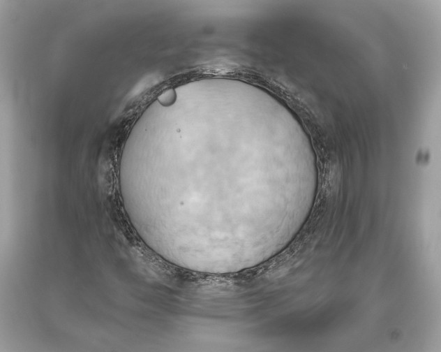 X0000093521446200710261209