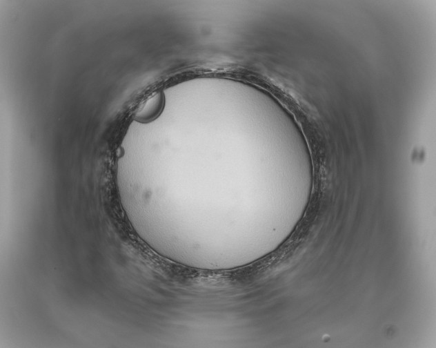 X0000093521447200710261209