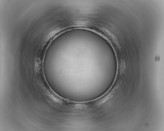 X0000093521449200710261209