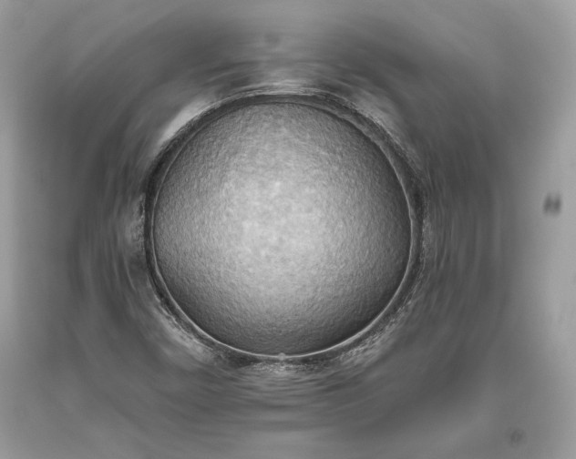 X0000093521450200710261209