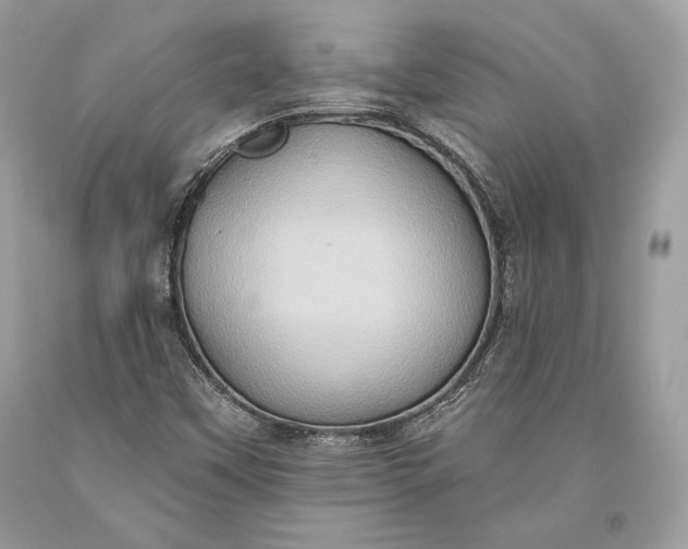 X0000093521451200710261209