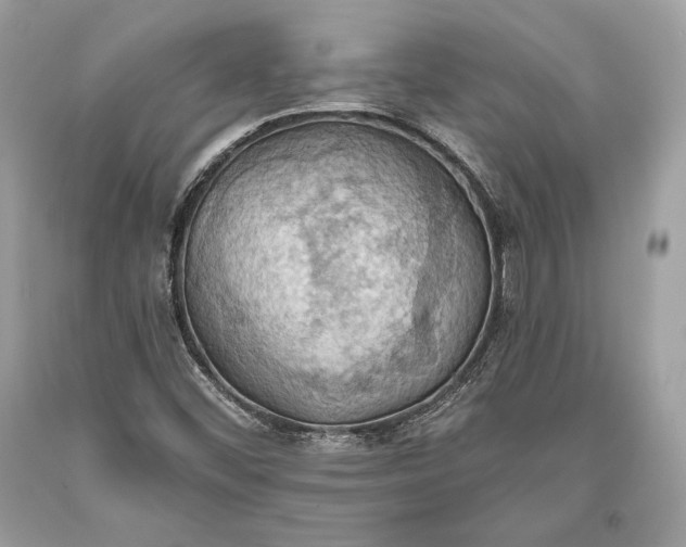 X0000093521452200710261209