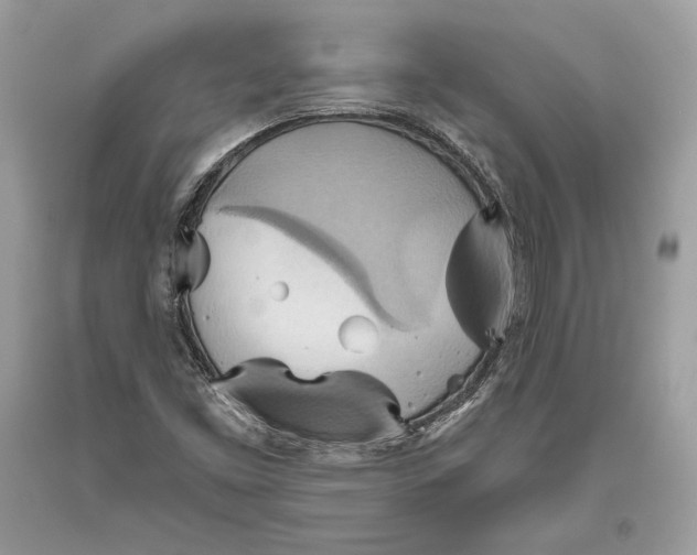 X0000093521453200710261209