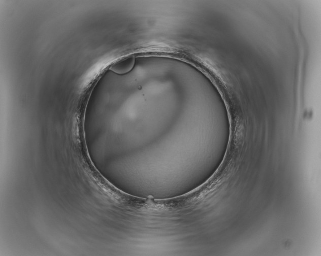 X0000093521455200710261209