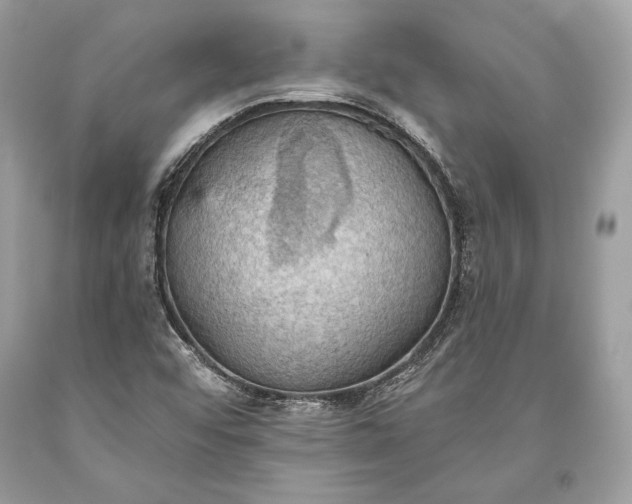 X0000093521456200710261209