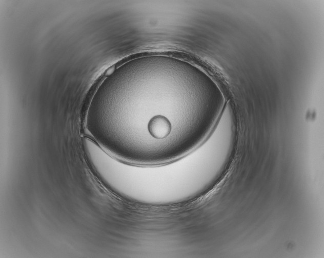 X0000093521457200710261209