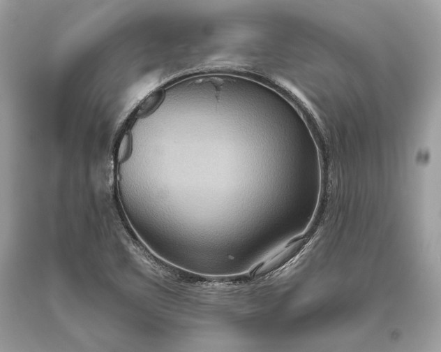 X0000093521461200710261209