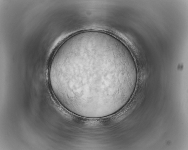 X0000093521462200710261209