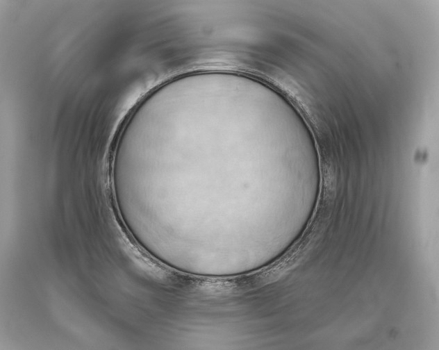 X0000093521466200710261209