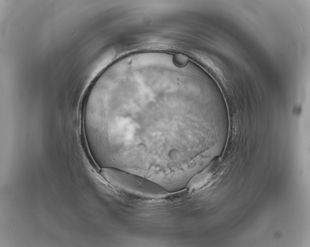 X0000093521467200710261209