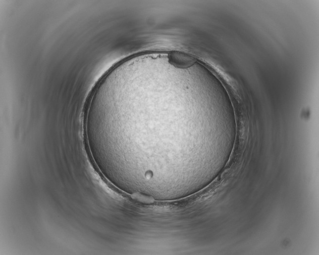 X0000093521468200710261209