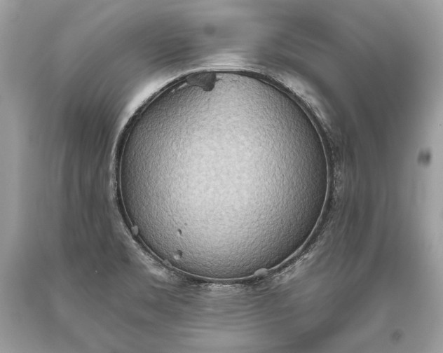 X0000093521469200710261209