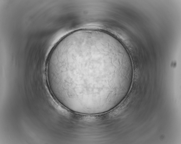 X0000093521470200710261209