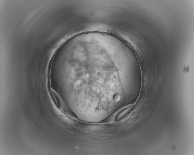 X0000093521471200710261209