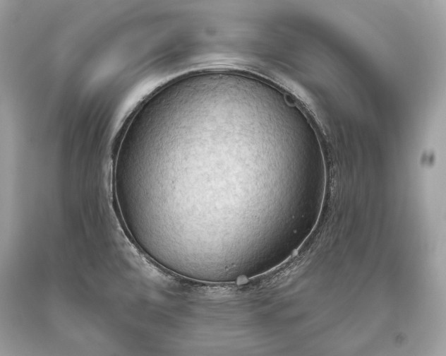 X0000093521472200710261209