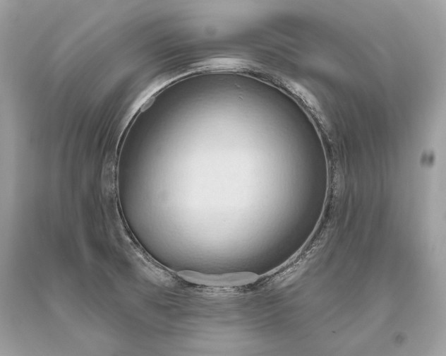 X0000093521473200710261209