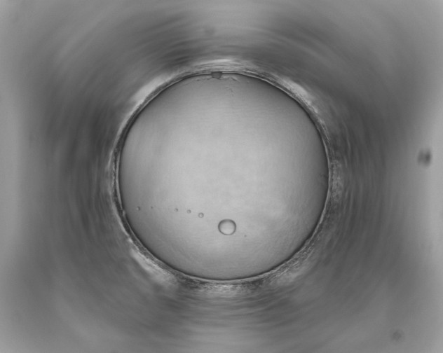 X0000093521474200710261209