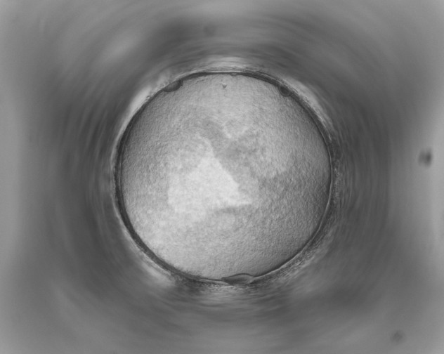 X0000093521475200710261209