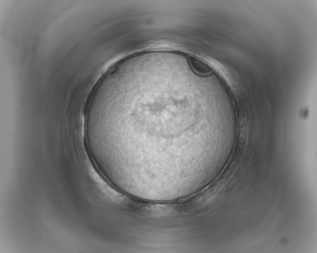 X0000093521476200710261209