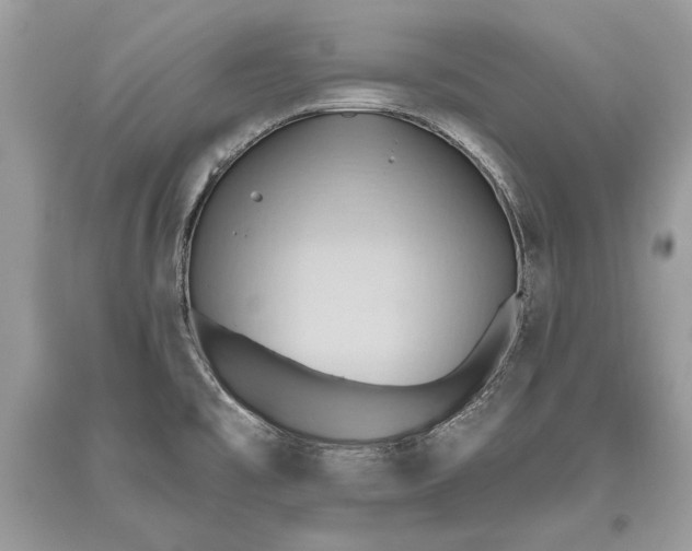 X0000093521477200710261209