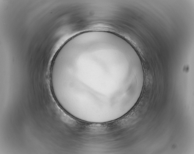 X0000093521478200710261209